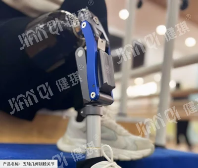 Prosthetic Knee Joints